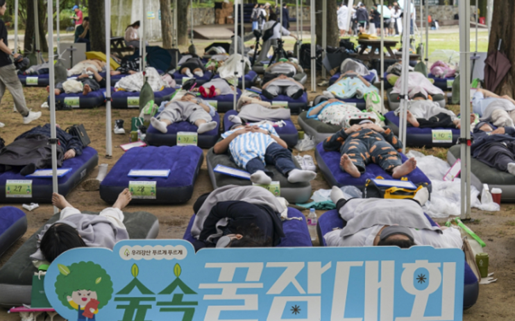 우푸푸 꿀잠숲속대회